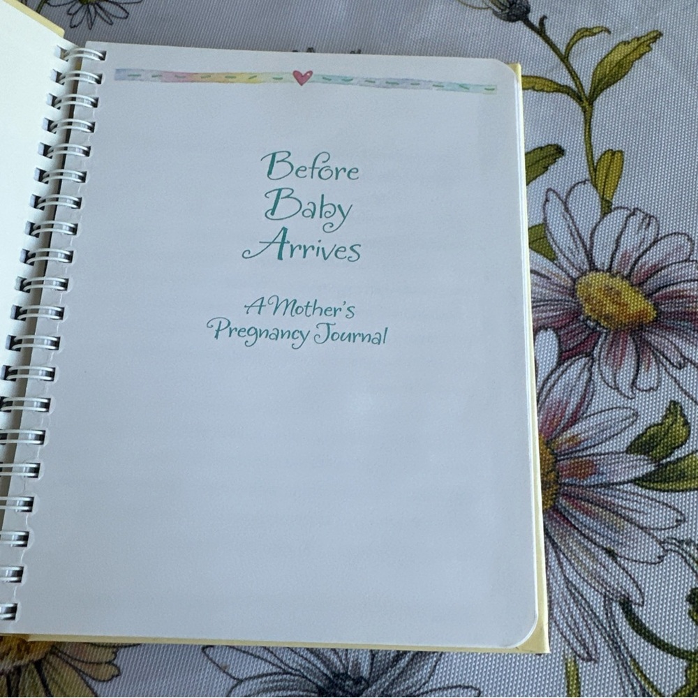 Hallmark Before baby arrives a mother‘s pregnancy journal book. A memory book - Picture 12 of 15